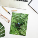 Recherche de minuscule photographie Floral