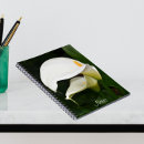 Recherche de calla blanche Botanique