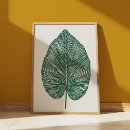 Recherche de bananier posters Vert