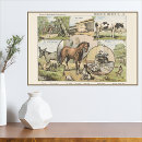 Recherche de petite ferme posters Pays
