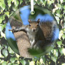 Recherche de alerte photographie Photographie de la nature