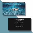 Recherche de requins mini cartes visite Vie marine