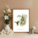 Recherche de oiseaux colorés posters Illustration