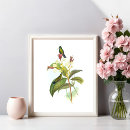Recherche de john gould posters Colibri