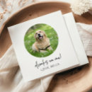 Recherche de photo mariage serviettes De réception de