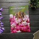 Recherche de abeille photographie Sauver les abeilles