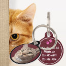 Recherche de propre animaux articles Cats