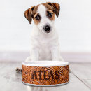 Recherche de vieux pets Dogs