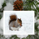 Recherche de écureuil de noël cartes postales Faune
