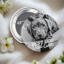 Recherche de votre chien badges Fête des pères