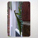 Recherche de mantid Insecte vert
