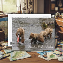 Recherche de parc national katmai cartes postales Saumon