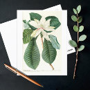 Recherche de magnolia cartes postales Vintage