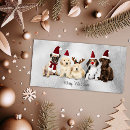 Recherche de humour carlin vœux cartes Humour de chien