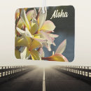 Recherche de plumeria photographie Photographie de la nature