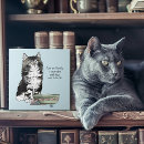 Recherche de mignon chat carreaux Chaton