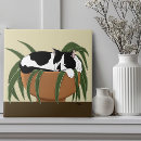 Recherche de chat noir et blanc carreaux Tuxedo