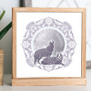 Recherche de chardon écossais posters Nature