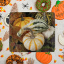 Recherche de citrouille planches à découper Vacances