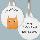 Recherche de de gingembre chat articles Chaton