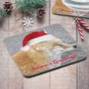 Recherche de renard rouge dessous de verres Animaux