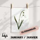 Recherche de perce neige posters Botanique