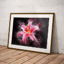 Recherche de stargazer lily posters Fleur