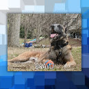 Recherche de anniversaire de chien puzzles Toute personne