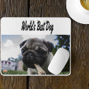 Recherche de photo chien tapis souris Dog
