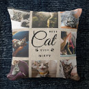 Recherche de pour chat coussins Typographie