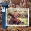 Recherche de orignal cartes postales Vacances