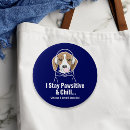 Recherche de chien de beagle badges Chiot