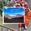 Recherche de hawaïens cartes postales Volcan hawaïen