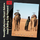 Recherche de camel cartes postales Maroc