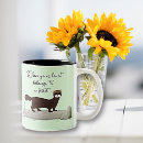 Recherche de furet maison deco Propriétaire de furet