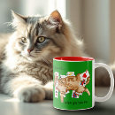 Recherche de chat tigré tasses Vert