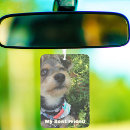 Recherche de chien désodorisants voiture Sympathie