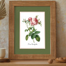 Recherche de pierre joseph redoute posters Floral