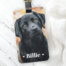 Recherche de animaux bagages étiquettes Toute personne