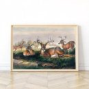 Recherche de cerf de virginie posters Paysage