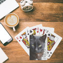 Recherche de amoureux chats jeux de cartes Noir