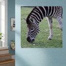 Recherche de motif exotique posters Toute personne