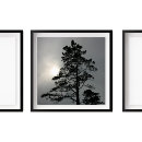 Recherche de nuageux art Nature