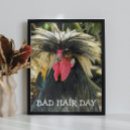 Recherche de humoristique posters Volaille