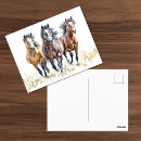 Recherche de troupeau de chevaux sauvages cartes postales Ouest