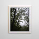Recherche de foggy posters Nature