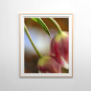 Recherche de macro de fleur posters Pour tous