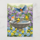 Recherche de oiseau de jardin cartes postales Oiseaux