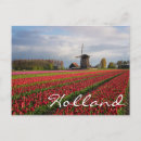 Recherche de bulbe cartes postales Tulipes