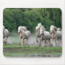 Recherche de cheval camargue tapis souris Ferme